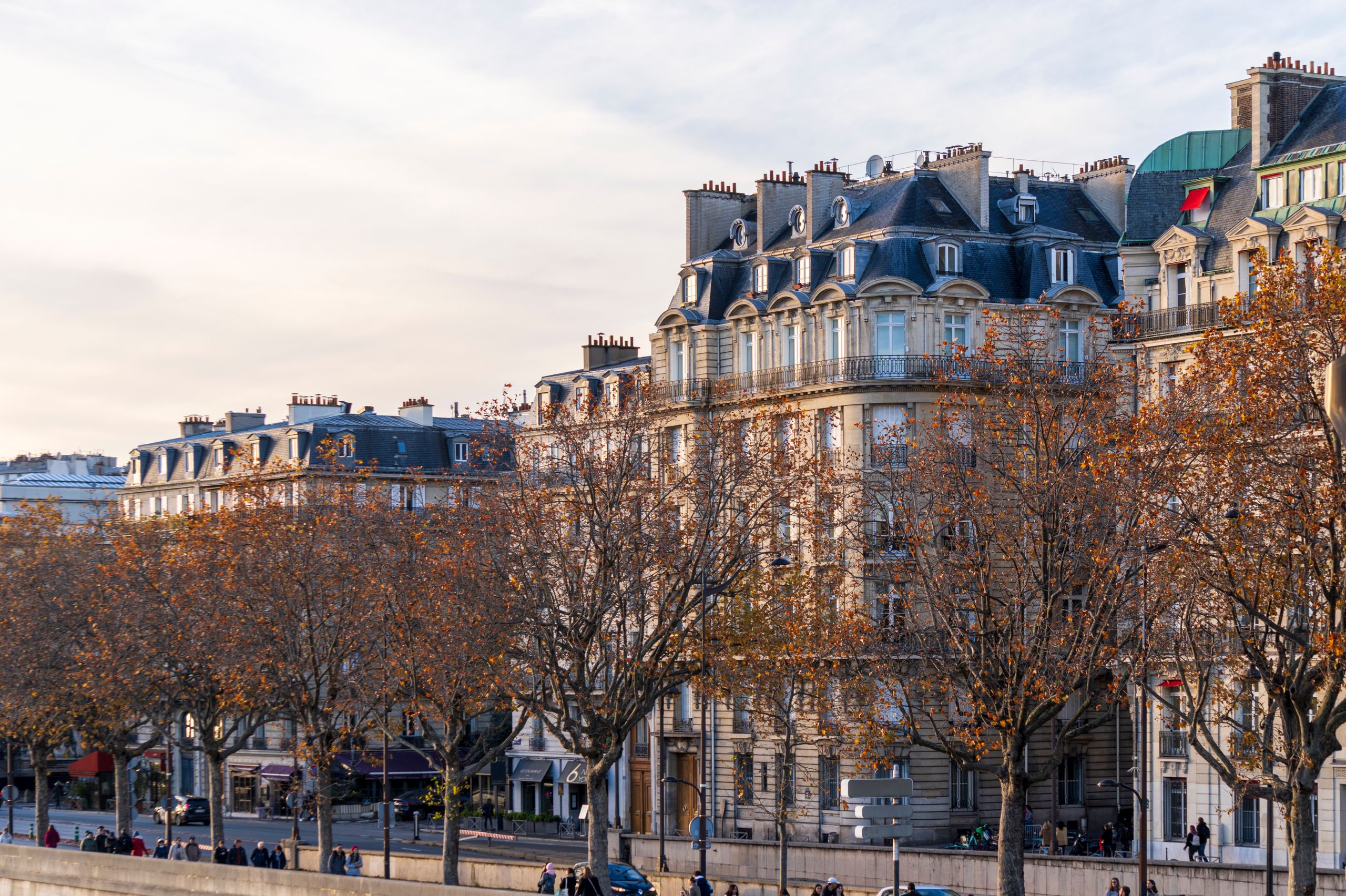 Rue bordée d’arbres et d’immeubles haussmanniens à Paris à l’automne